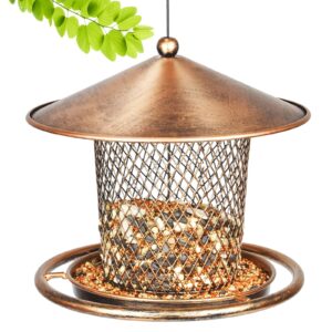 IWTTWY Bird Feeder Hanging