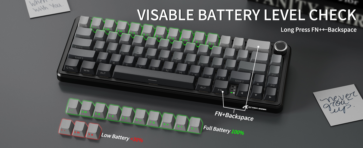 Mini 66 Keys RGB Gaming Keyboard for Win/Mac