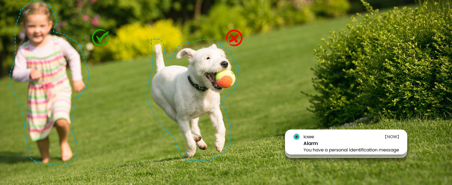 motion sensor camera