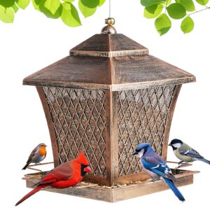 Squirrel Proof Bird Feeders