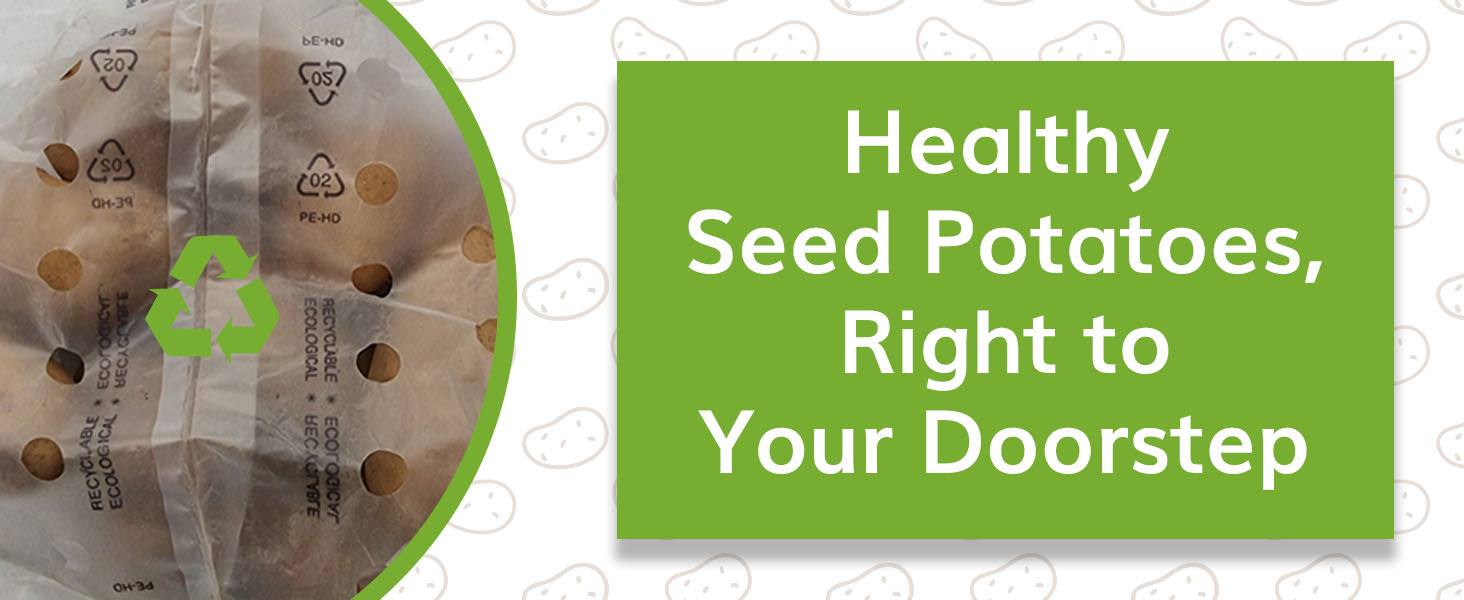 Healthy potatoes Desktop