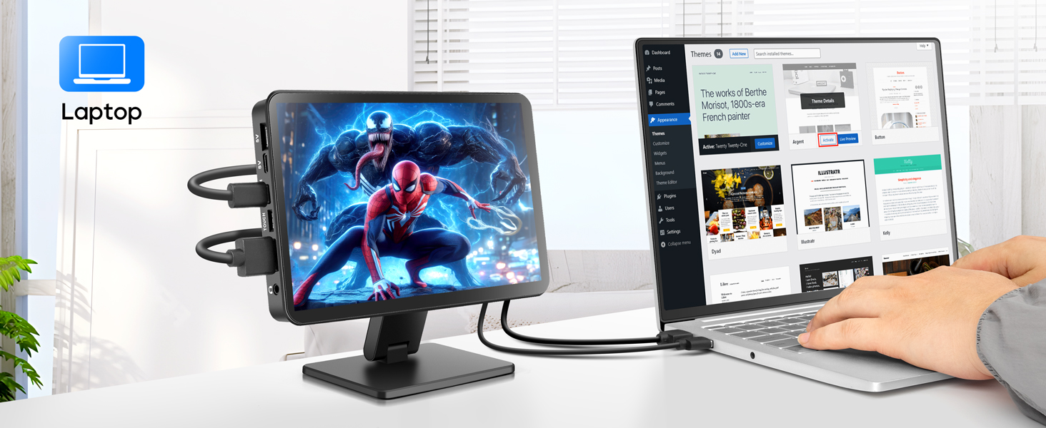 portable monitor