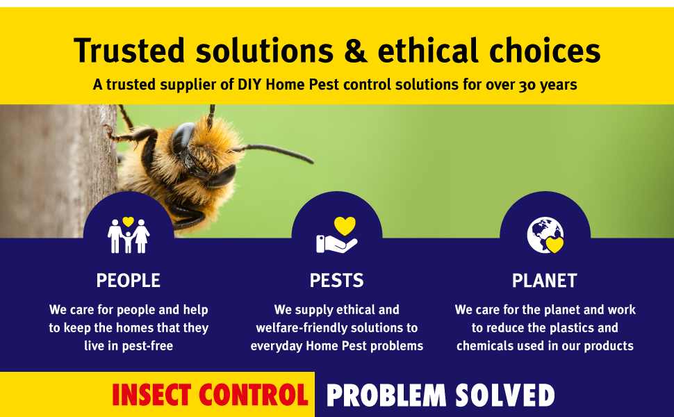 trap traps catcher flies get rid infestation kitchen stop house uk gnats flying insect spray 