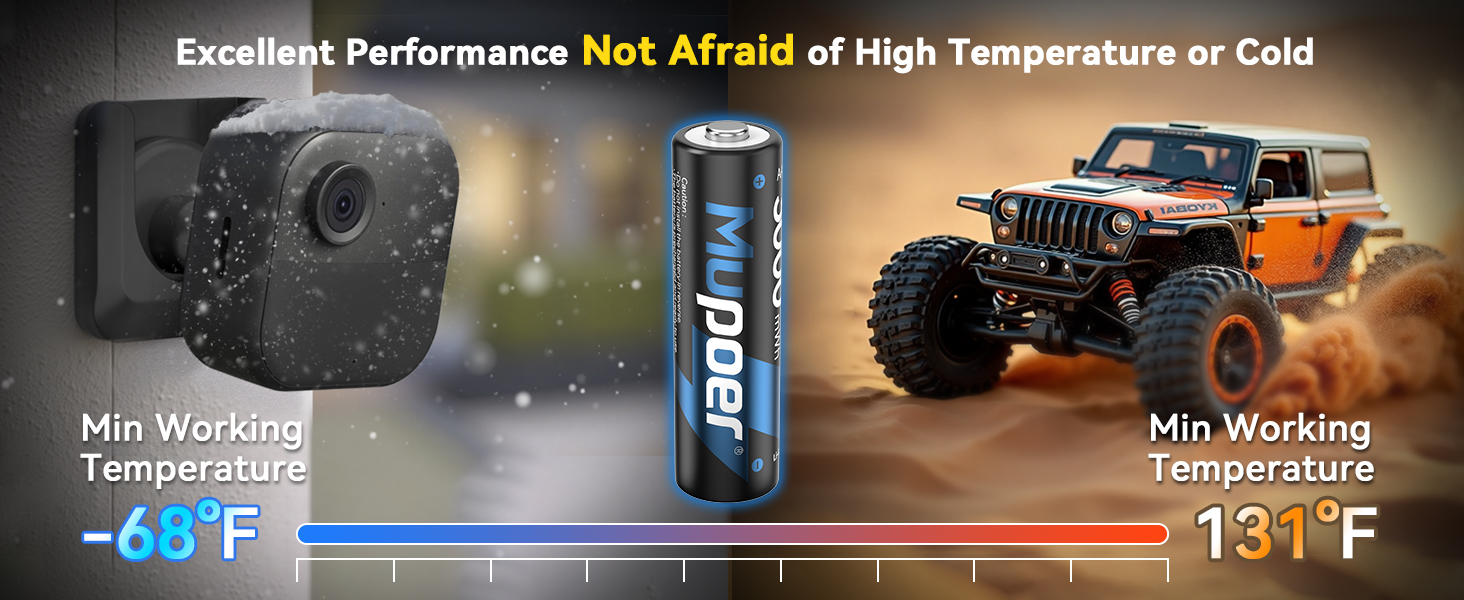 aa lithium batteries for blink camera