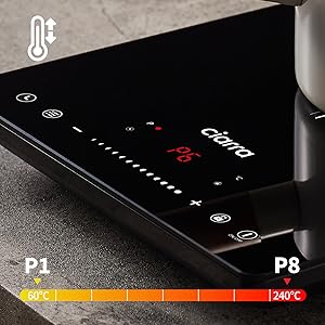 single induction hob