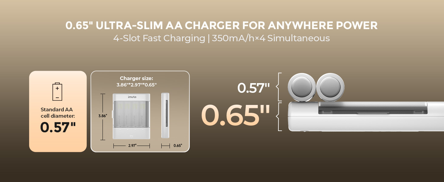 aa lithium batteries for blink camera