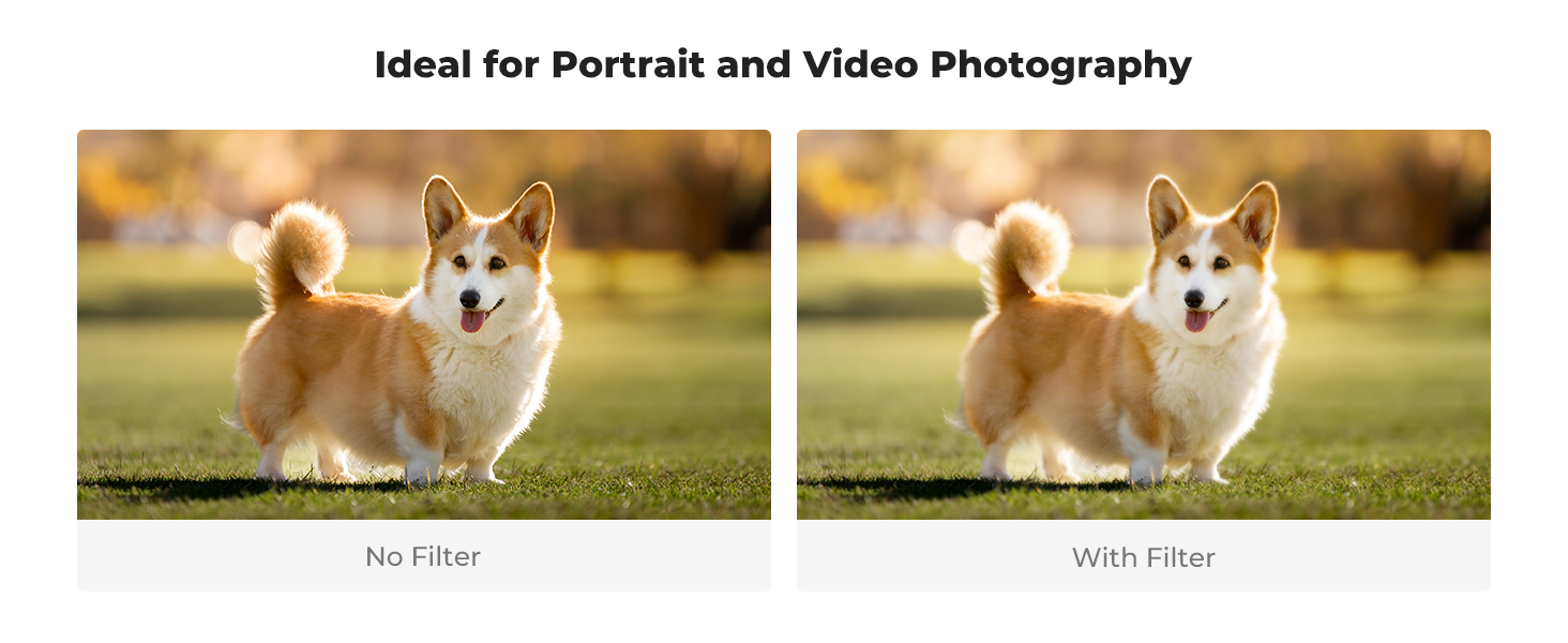 black diffusion filter