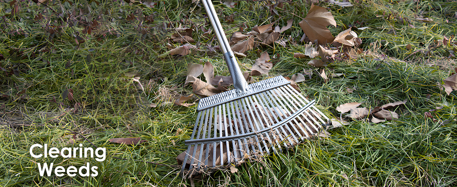 Clearing Weeds