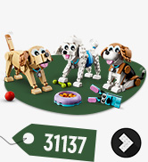 LEGO 10984