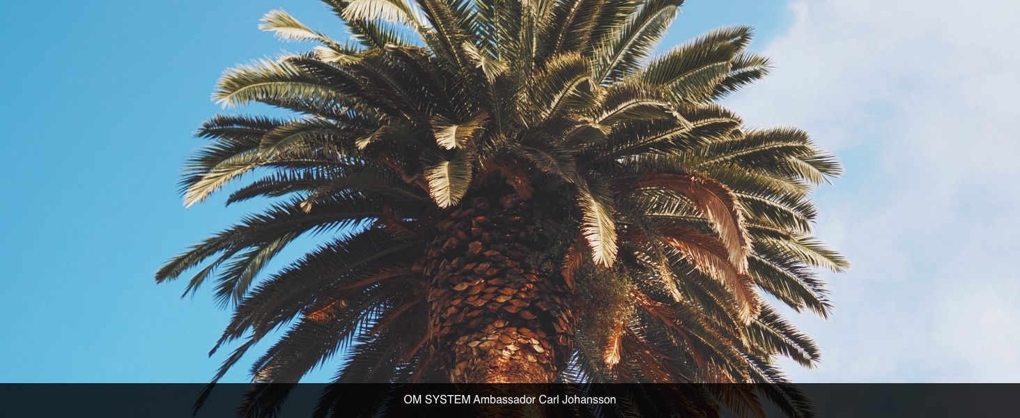 OM SYSTEM 17mm Olympus