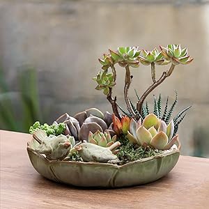 Natural Garden Element