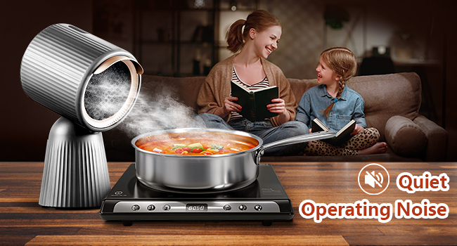portable range hood