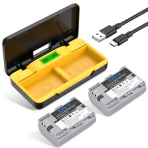 2-Pack 2650mAh LP-E6N LP-E6 Battery with Dual Battery Storage Charger for Canon EOS R7