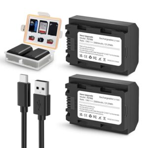 2 Pack 2880 mAh NP-FZ100 Battery