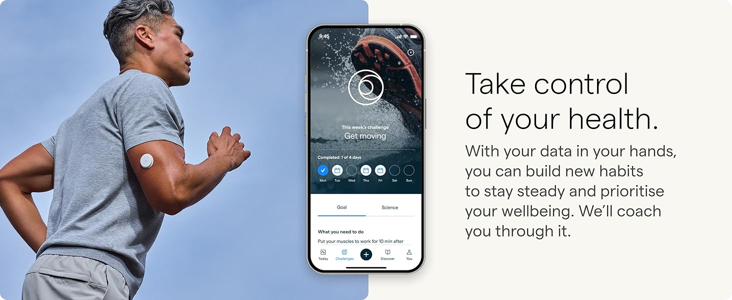 lingo glucose monitor