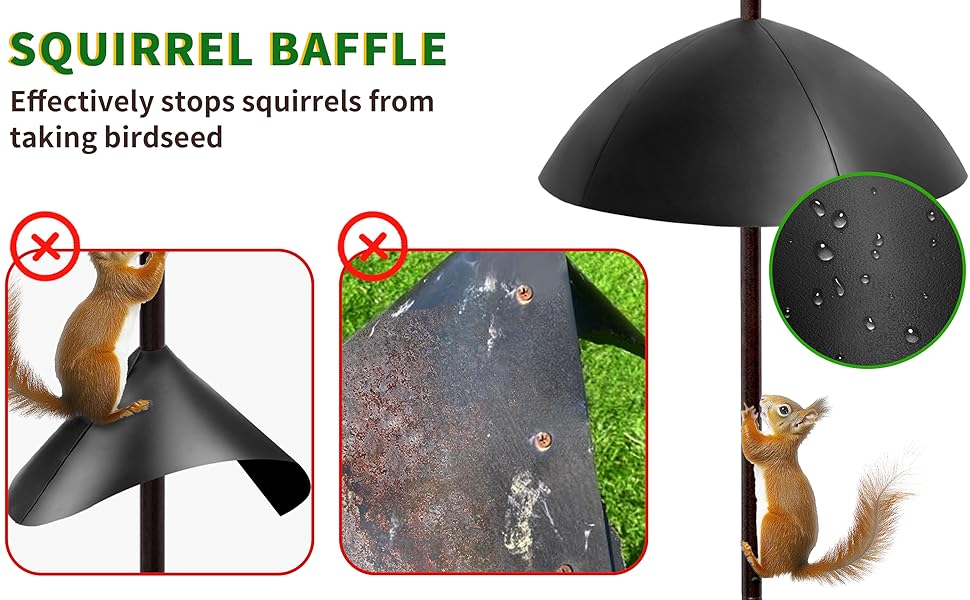 bird feeding station