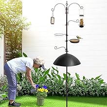 bird feeding station