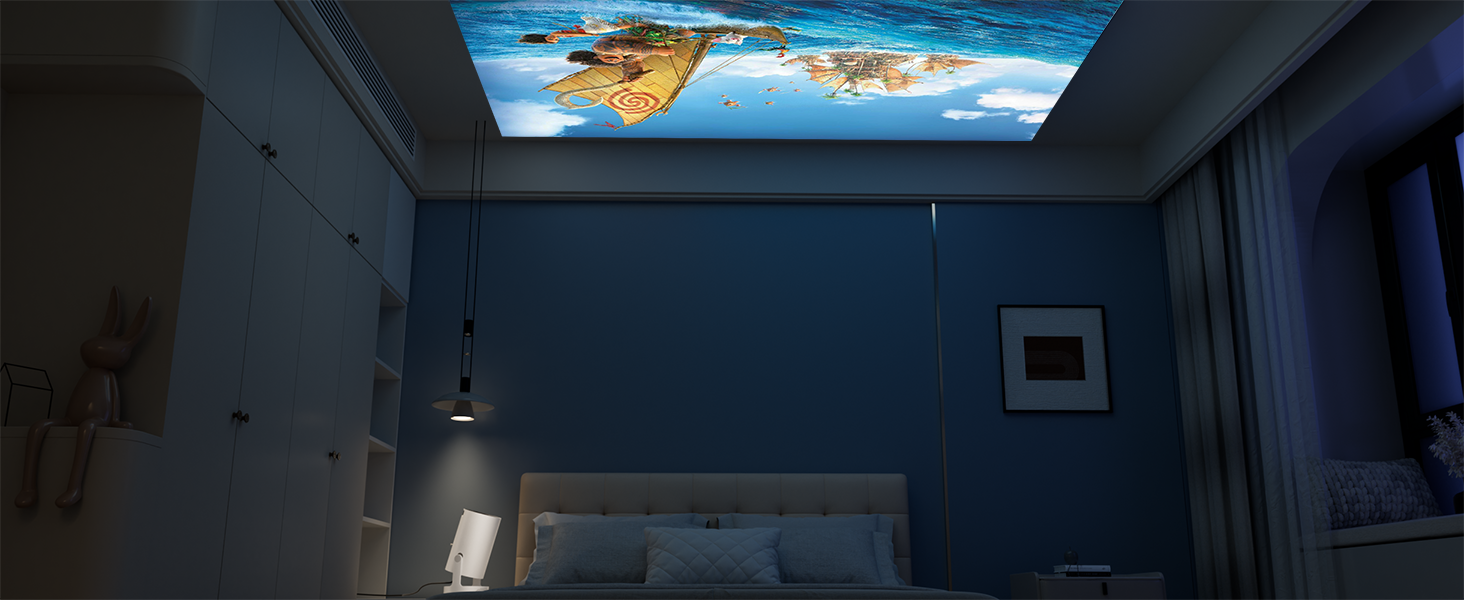 mni projector