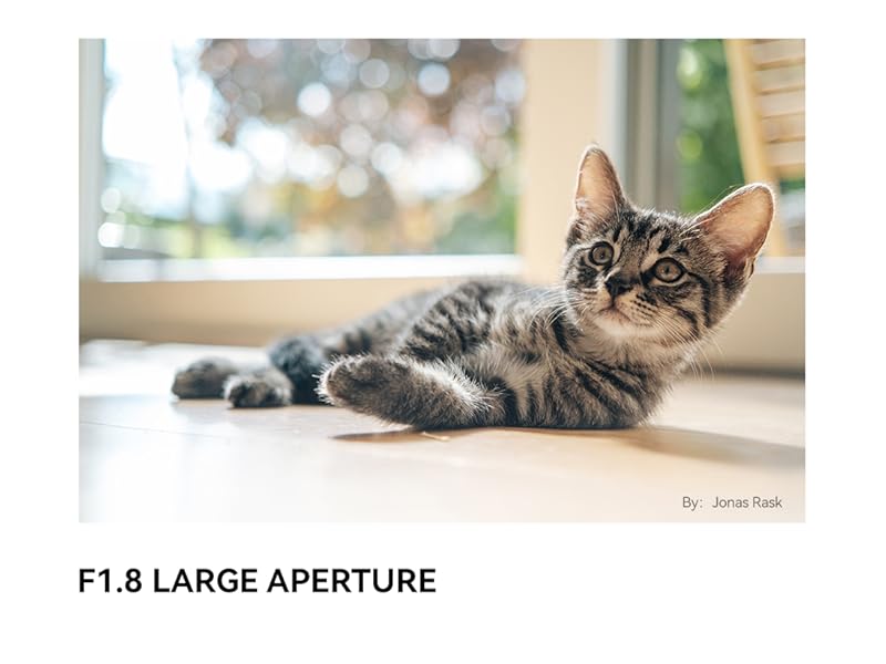 ttartisan af 35mm f1.8