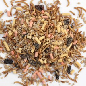 Special Blend Robin Food (13kg) Nutritious Seed