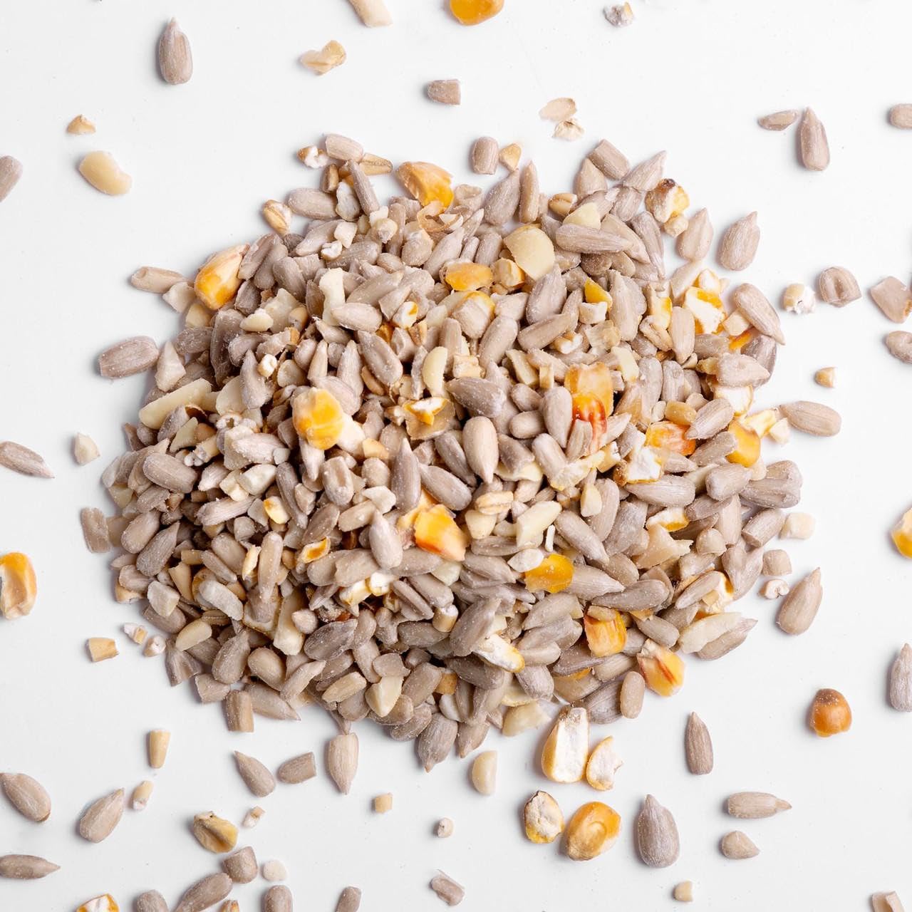 No Mess Bird Seed Mix (25kg) No Grow Wild Bird Seed for Small Garden Birds. All Year Round Wild Bird Food for Small Birds Safe for Lawns and Gardens.