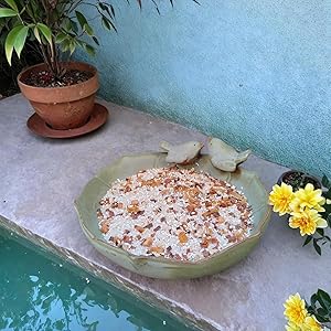 Natural Landscape Companion