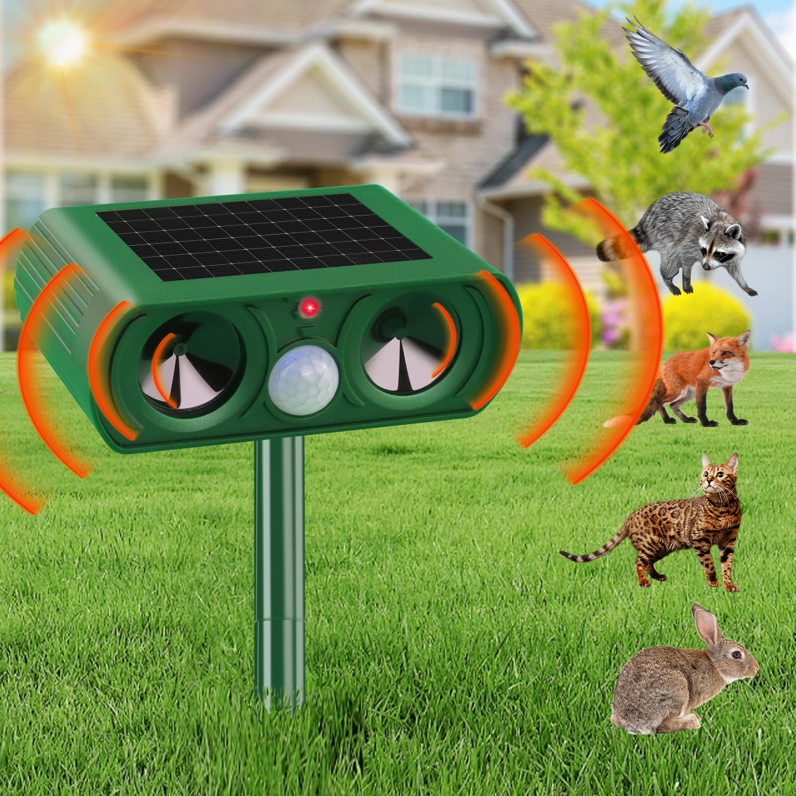 Cat Repellent for Gardens UK