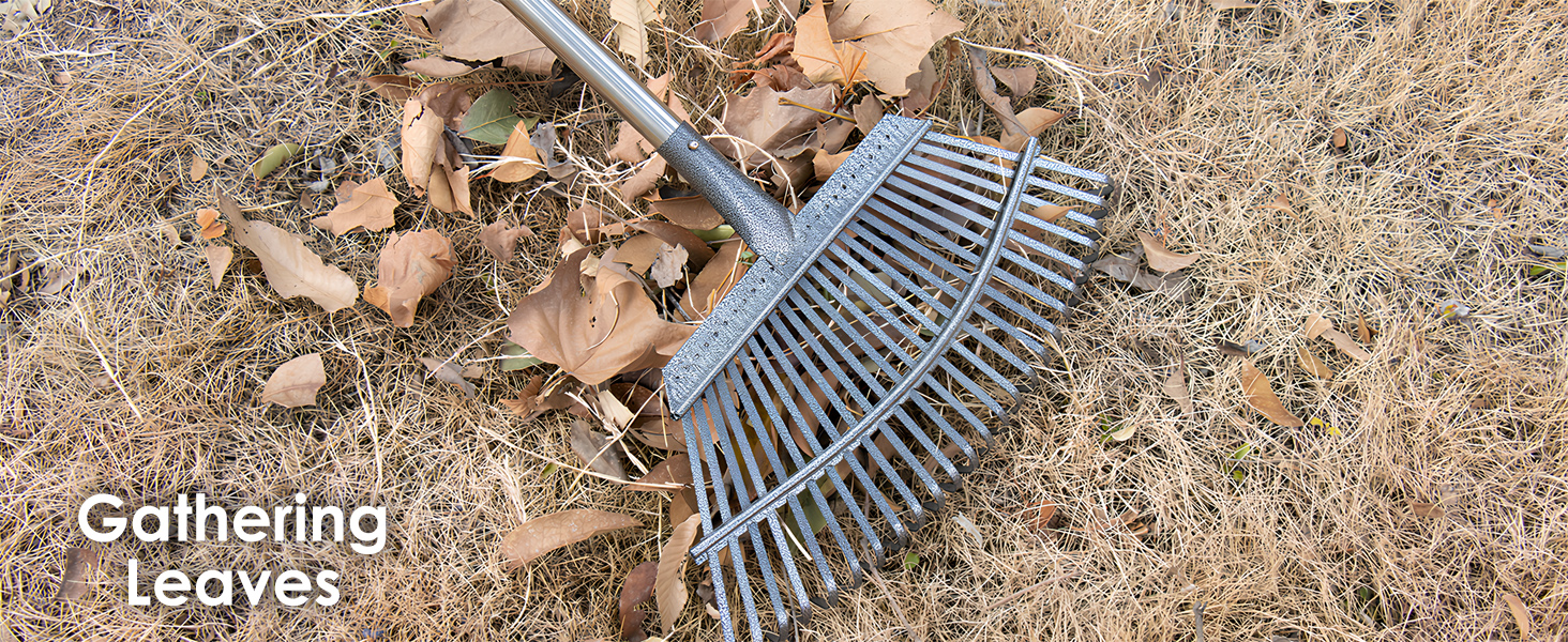 Gathering Leaves