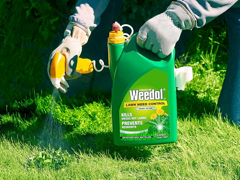 Weedol LN Weed Control 3 litre in use on lawn weeds