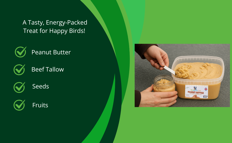 Bird Seed Food