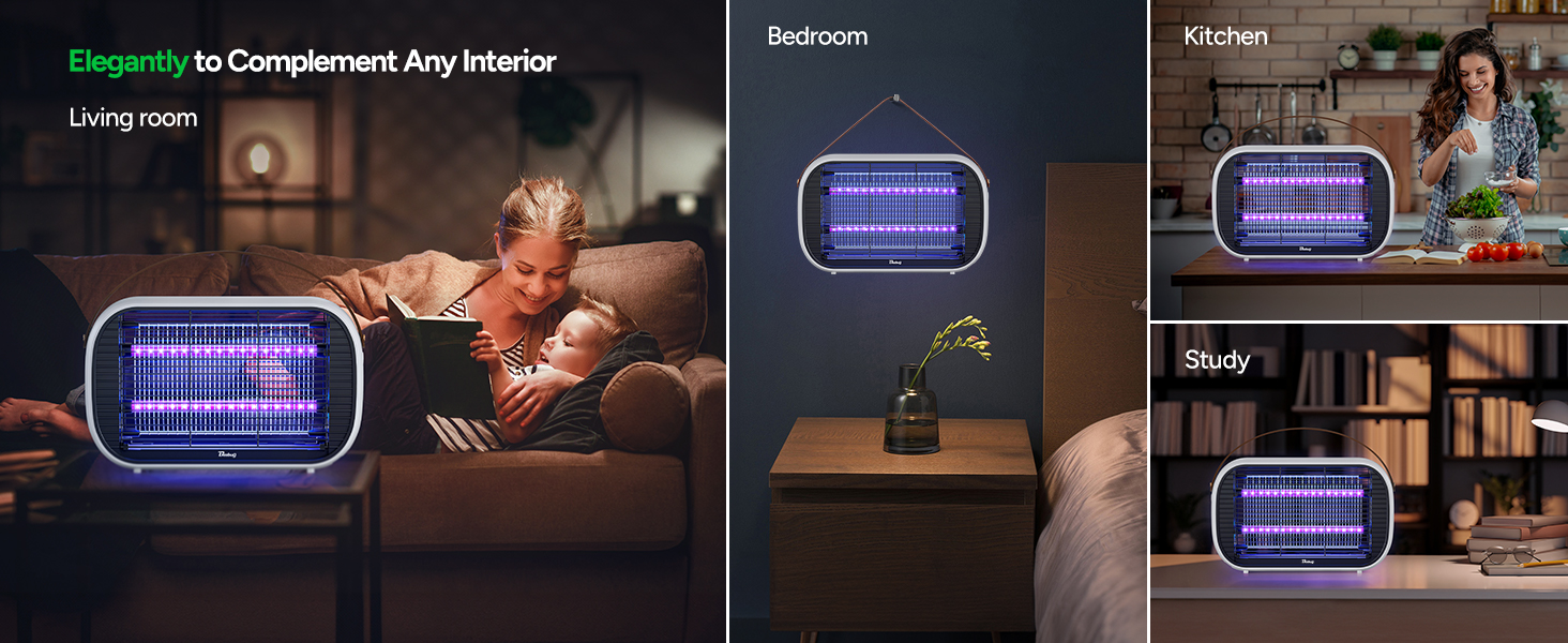 fly papers for indoors