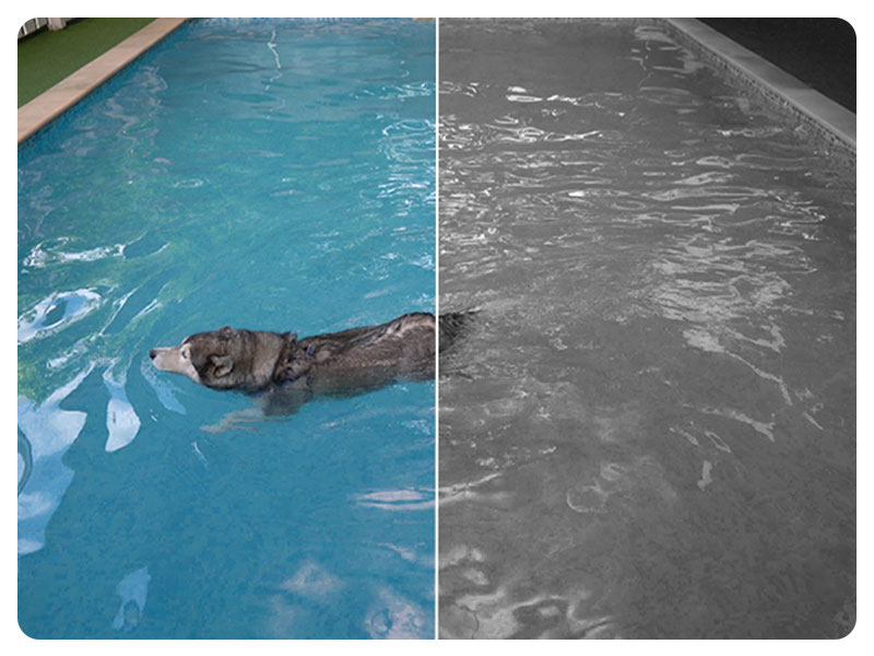 Smart Wire-Free Indoor/Outdoor Security Camera, Superior 2K Visuals, Wire-Free