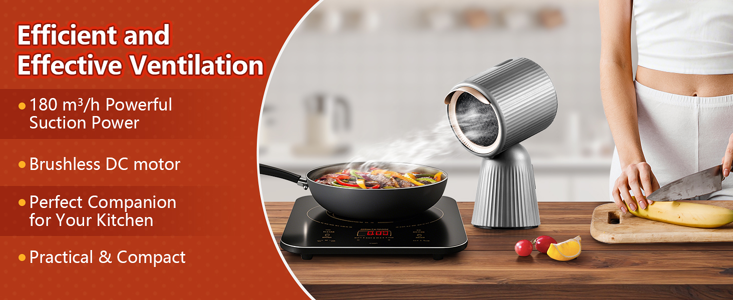 Portable Extractor Fan