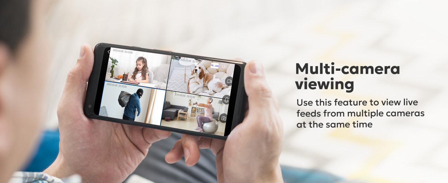 Multi-camera viewing