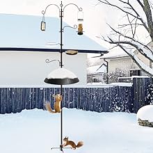 bird feeding station