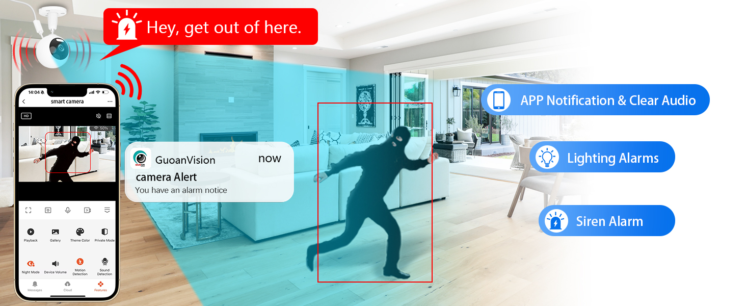 dog camera indoor