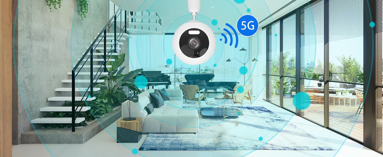 indoor camera for dog