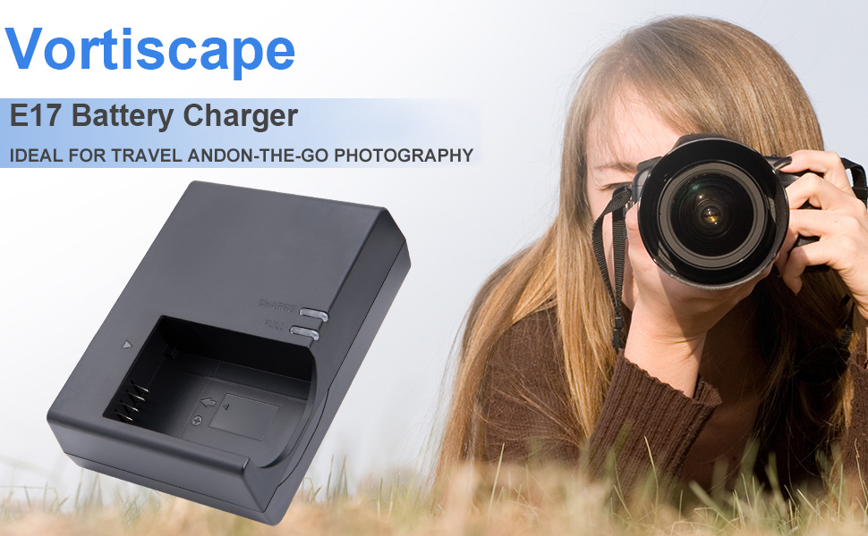 LC-E17 Battery Charger