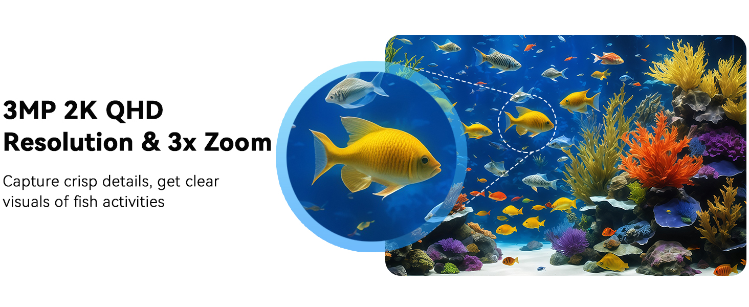 Text reads '3MP 2K QHD', 'Resolution & 3x Zoom'. Underwater photography showing vibrant coral reef scene with blue fish.