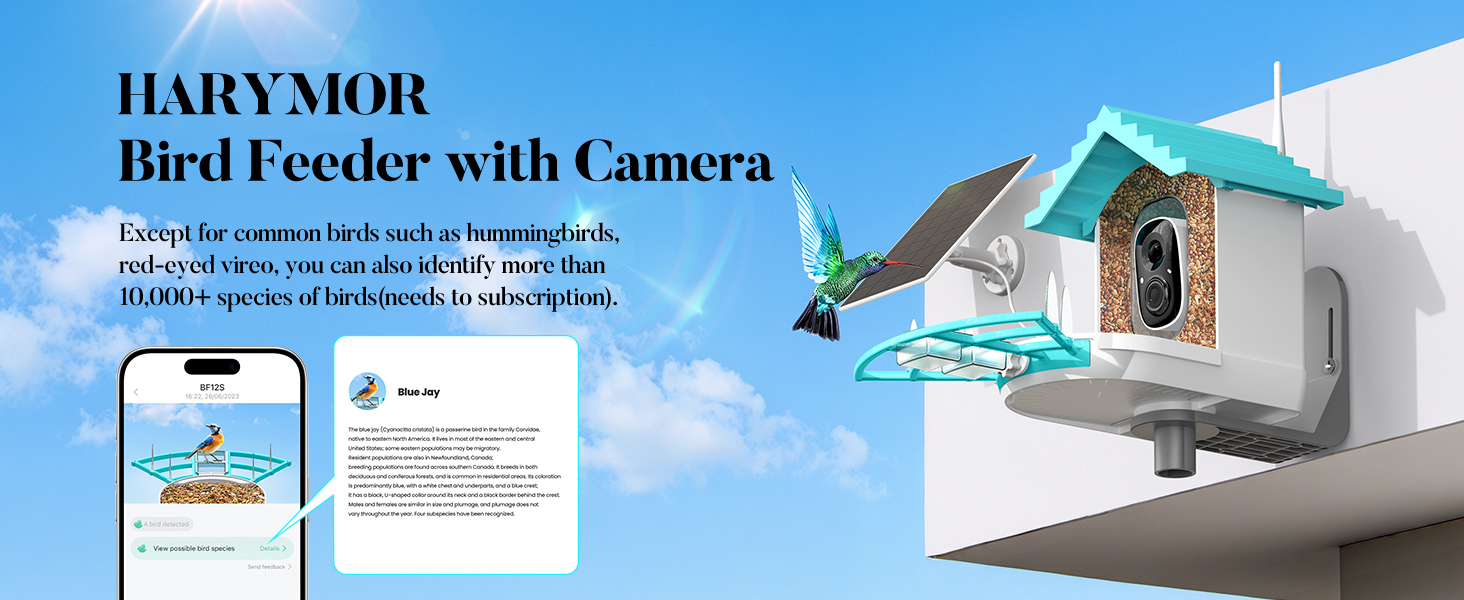 aplus content image