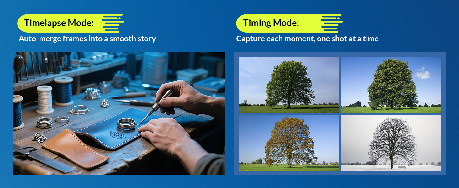 Split-screen interface showing two photography modes: timelapse mode with watch parts on blue surface, and timing mode displaying seasonal tree changes.