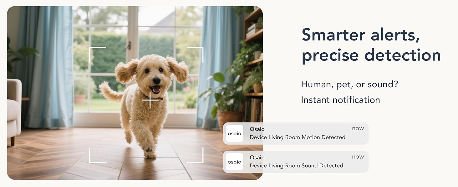 Small tan dog walking on wooden floor towards camera. Window and plants visible. Text overlay mentions 'Smarter alerts, precise detection' and 'Human, pet, or sound? Instant notification'.