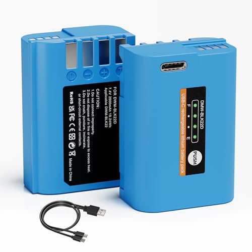 DMW-BLK22 Battery 2600mAh Capacity with Smart LED Display