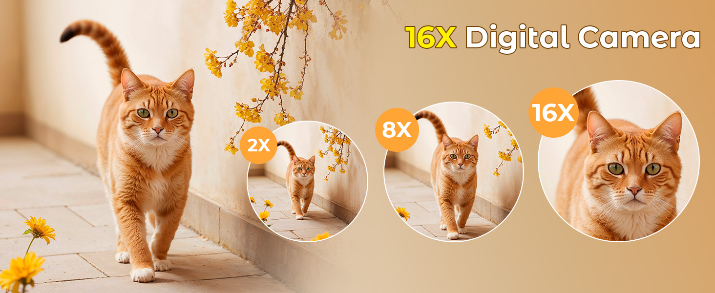 cameras with SD CARD