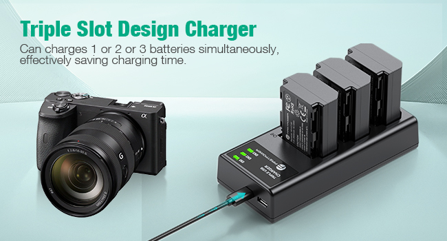 sony np-fz100 battery
