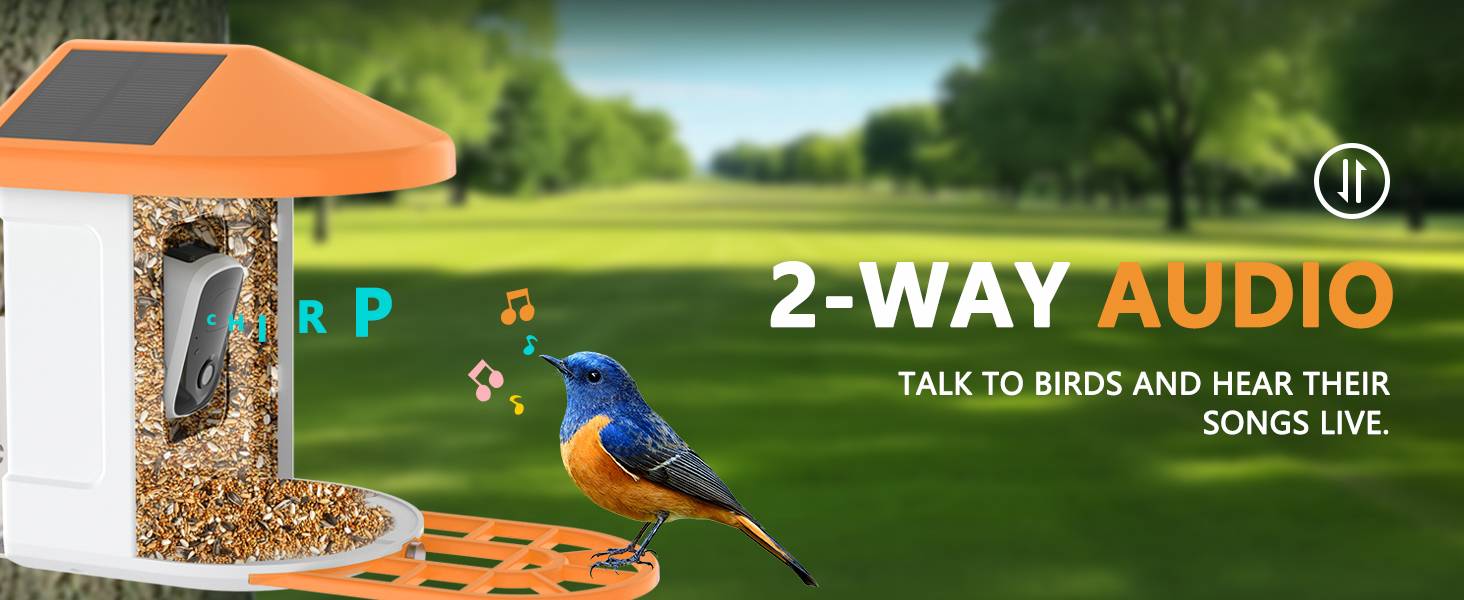 smart bird feeder