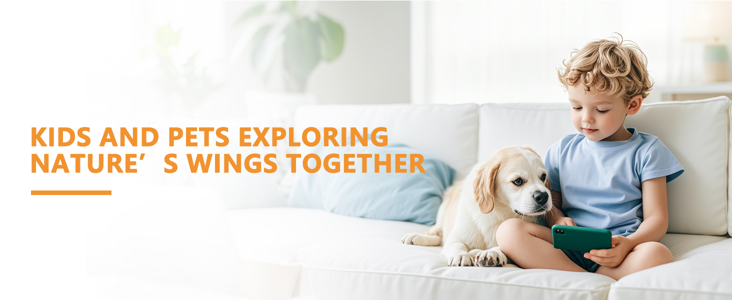 bird feeders for small birds