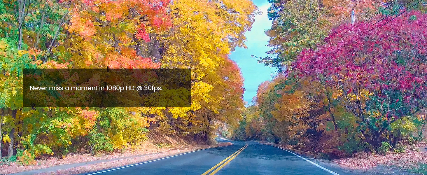 a road with trees and a road with a road in the background.