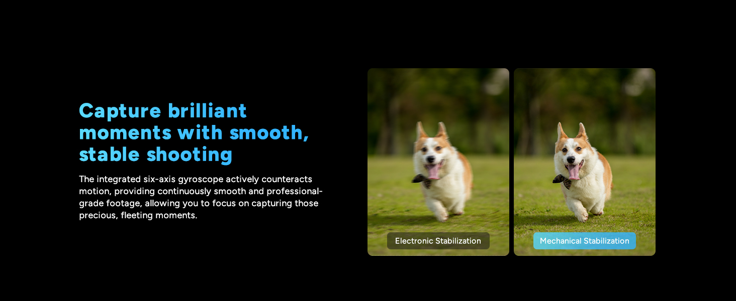 Text reads 'Capture brilliant moments'. Split image showing a dog running, demonstrating camera or photography functionality with motion capture capabilities.