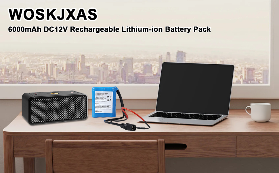 6000mAh 12V Battery